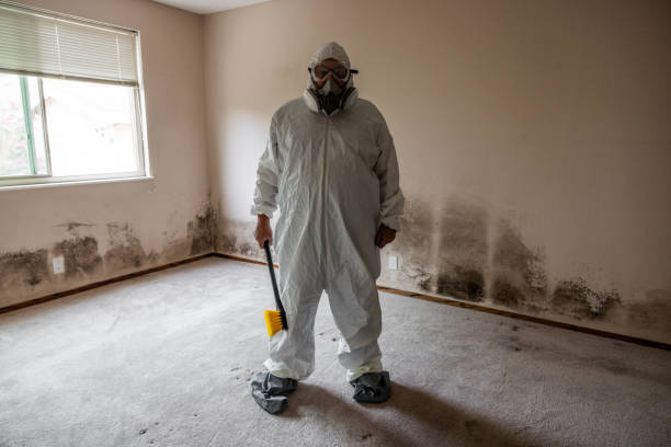 Best HVAC Mold Inspection and Cleaning  in Passapatanzy, VA